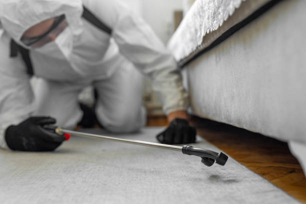 Professional Bed Bug Control technician working in Chickasaw County County, IA